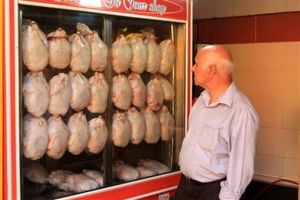 ۶۰۰ تن مرغ منجمد در استان فارس برای متعادل کردن قیمت مرغ توزیع می شود