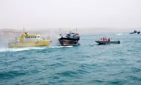 کشف ۶ هزار لیتر سوخت قاچاق در حوالی نیروگاه اتمی