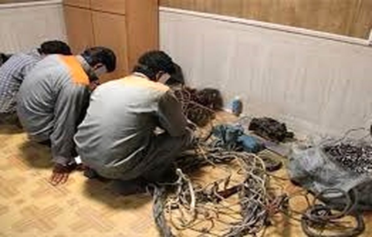 انهدام باند سارقان کابل های مخابراتی در شیراز
