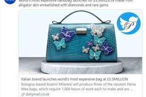 گرانترین کیف دستی زنانه جهان به ارزش 5.3 میلیون پوند