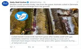 پدیده جدیدی به نام زامبی‌های کرونایی در دانمارک