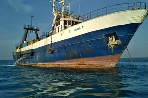 توقیف ۲۹ فروند شناور متخلف صید ترال در آب‌های هرمزگان