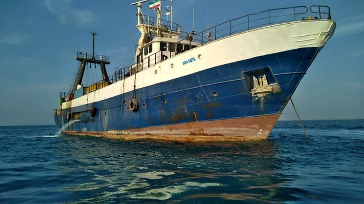 توقیف ۲۹ فروند شناور متخلف صید ترال در آب‌های هرمزگان