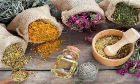 استعفایی که یک بحث قدیمی را زنده کرد/ با طب سنتی چه کنیم؟