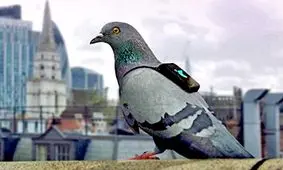 سرّی‌ترین ابزار‌ نظامی چین را بشناسید