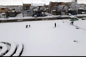 آخرین وضعیت کردستان پس از بارش سنگین برف/ مدارس روستایی شهرستان سقز تعطیل شد/ قطعی برق ۲۰ روستا