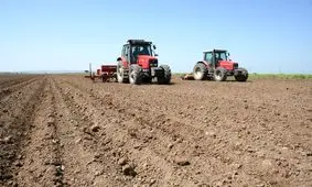 ۶۸ درصد از سطوح زراعی غلات استان چهارمحال وبختیاری بصورت مکانیزه کشت شد