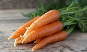 ۳ دلیل گرانی هویج در بازار/ درباره قیمت میوه‌ها بزرگ نمایی می‌شود