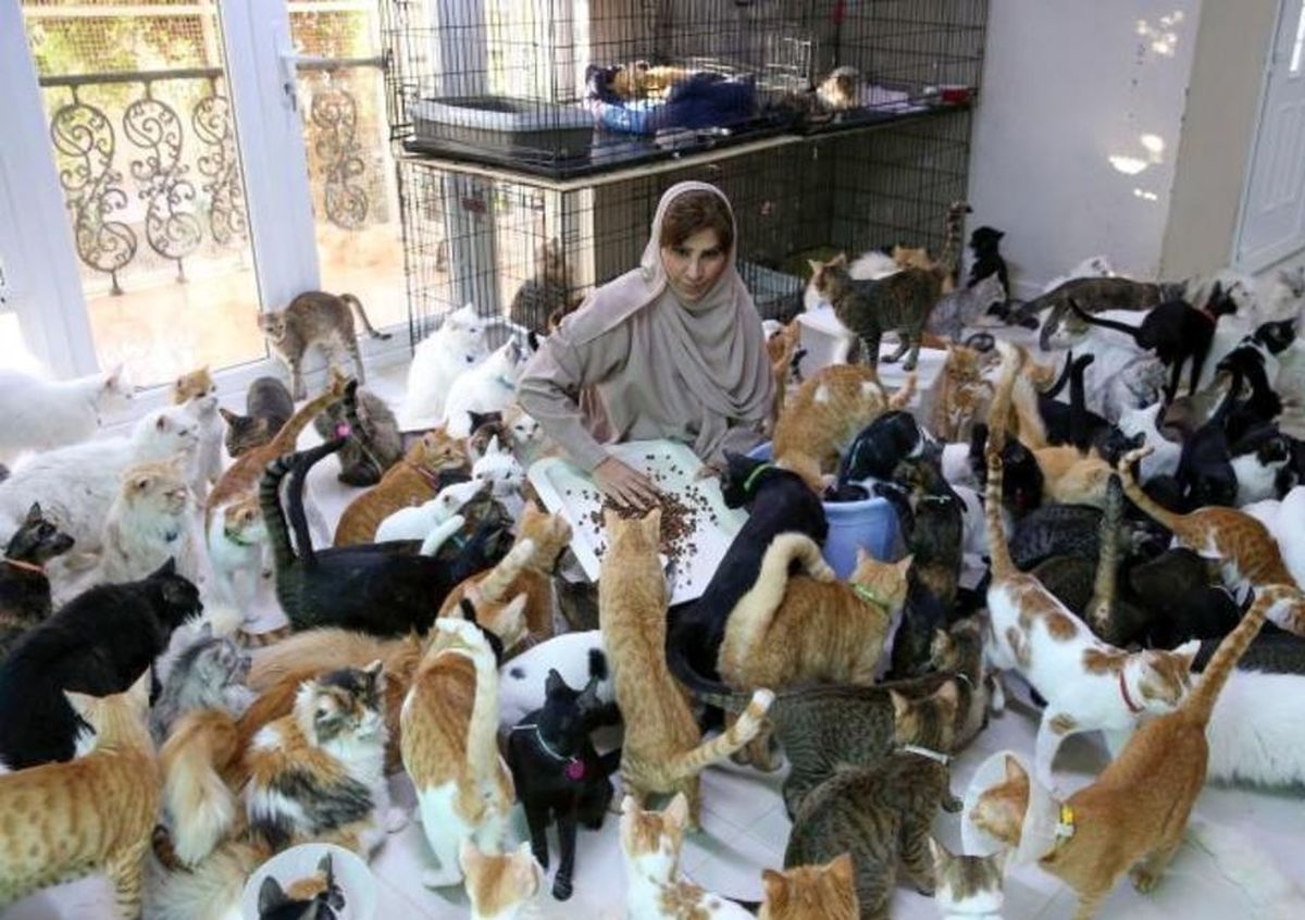 زنی که ۵۰۰ گربه و سگ در خانه دارد!/ عکس