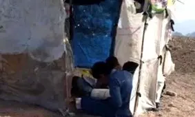 آشیانه‌ای برای برنامه‌ی شاد بر بلندای سورگاه در کرمان