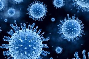 کشف اصلی‌ترین دلیل مرگبار شدن ویروس کرونا