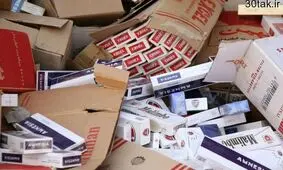 افزایش قاچاق سیگار تک رقمی شد!