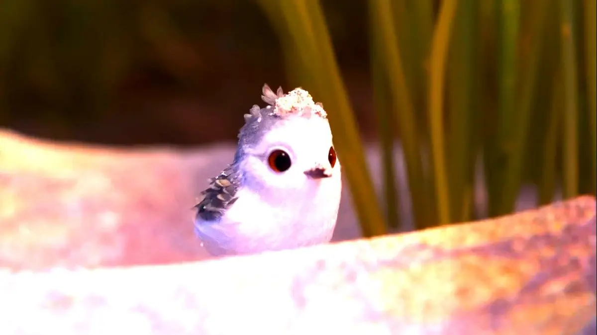 انیمیشن «Piper»؛ بهترین و جذاب ترین فیلم کوتاهی که توسط پیکسار ساخته شده است