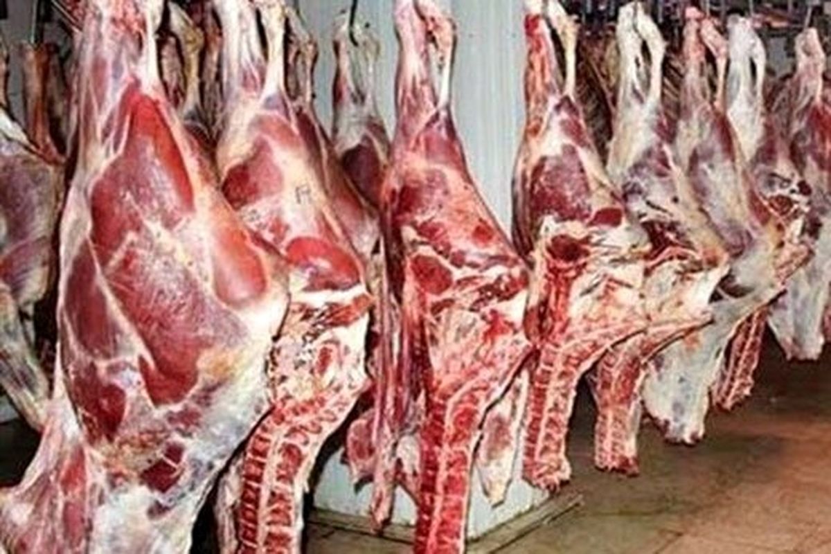رونق بازار گوشت قرمز در هفته اول هر ماه/ دام زنده کیلویی 50 هزار تومان