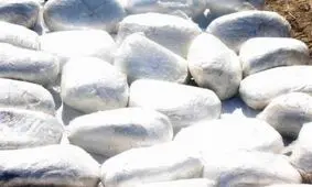 انهدام باند بزرگ مواد مخدر در کرمان