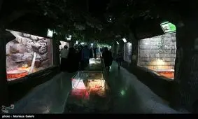 نقدی بر مراکز نگهداری از خزندگان + تصاویر