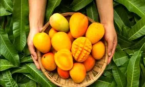 میوه های نارنجی را بخورید و جوان بمانید