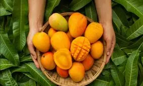 میوه های نارنجی را بخورید و جوان بمانید