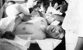 متوحش بودم که مبادا نمرده باشد، خواستم با کارد کار او را بسازم