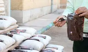 ۵۰۴ کیلوگرم مواد مخدر در کرمان کشف شد