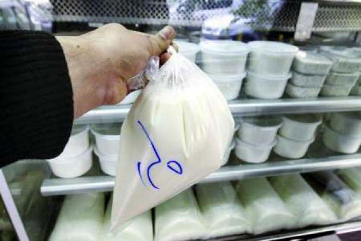 فروش شیر خام در مراکز لبنیات سنتی ممنوع است