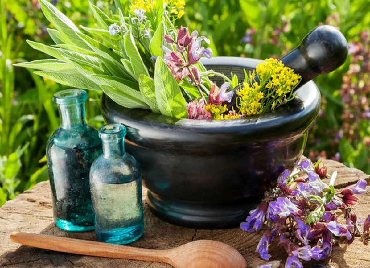 واکنش رسول جعفریان به تبلیغات اخیر طب سنتی؛ بجای قطب نما هم بروید سراغ موقعیت ستاره ها!