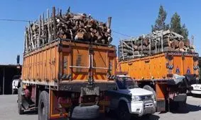 ۱۹ تن چوب جنگلی قاچاق در نور کشف شد