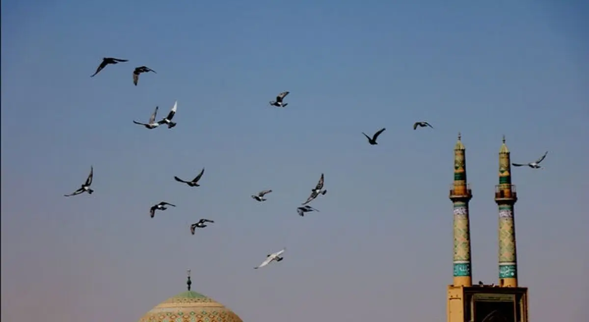 جاذبه آسمان یزد با رقص پرندگانش