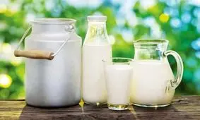 قاچاق شیر خشک از سر گرفته شد!