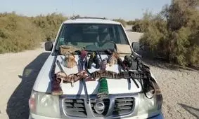 کشف 6 قبضه سلاح شکاری از متخلفان در تالاب هامون