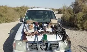 کشف 6 قبضه سلاح شکاری از متخلفان در تالاب هامون