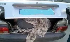 فرجام جسـدی که فروختـه نشد در مشهد