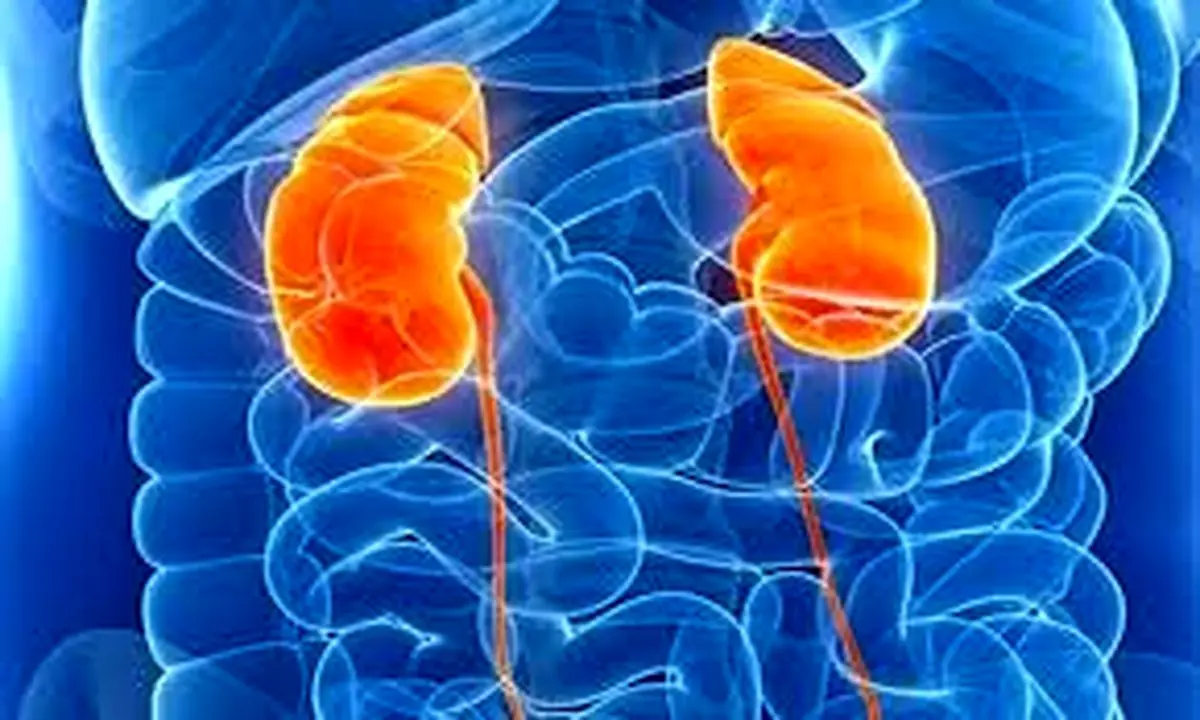 افزایش خطر بیماری کلیه با دو عادت بدِ غذایی