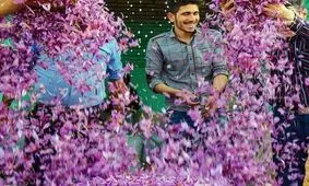 تیغ دو لبه گلخرها بر گلوی کشاورزان و بازار زعفران