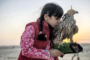 تابوشکنی در امارات؛ مادر و دختر شاهین باز!