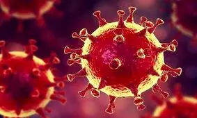 معرفی مدیران کم‌کار مقابله با کرونا به تخلفات اداری