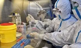 افزایش سه آزمایشگاه و طرح درمان در منزل بیماران کرونایی لرستان