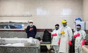 غسل و تدفین اموات کرونایی در قم/ عکس‌ها