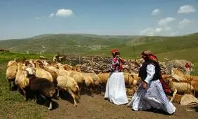 ۶۰ میلیارد ریال تسهیلات جهش تولید به عشایر استان سمنان پرداخت شد
