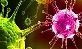 متولیان مراسم عروسی و عزا در شوش منتظر برخورد قضایی باشند