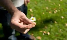 روش‌های صحیح عذرخواهی کردن کدام است؟