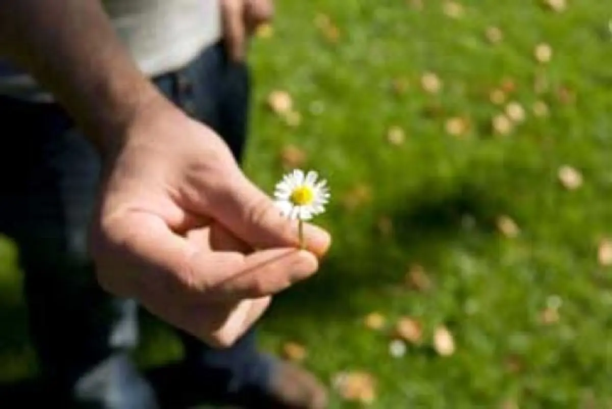 روش‌های صحیح عذرخواهی کردن کدام است؟