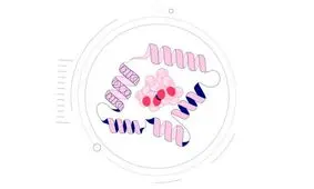 حل یک معمای ۵۰ ساله برای درمان بیماری‌ها!