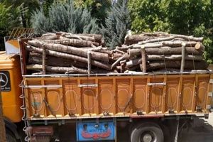 کاهش ۹۰ درصدی قاچاق چوب در خرم‌دره