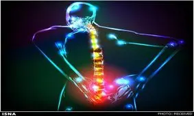 هشدار؛ این دردهای عضلانی و کمردردها نشانه کرونا است