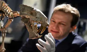 حراج اسکلت ۳۷ میلیون ‌ساله