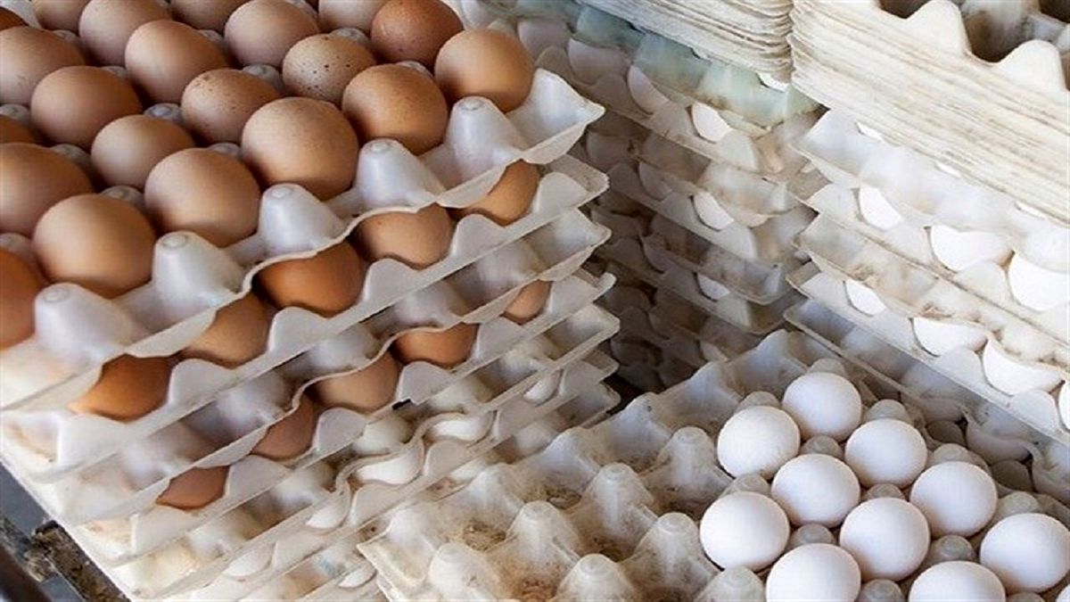 عرضه تخم مرغ بالاتر از شانه‌ای ۲۹ هزار تومان، تخلف است
