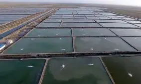 انتقال آب دریا به بخش مرکزی دشتی و تنگستان برای پرورش آبزیان