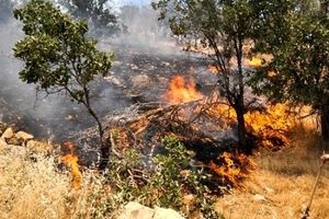 آتش‌سوزی دشت بهشت ارتباطی با زندان اوین ندارد