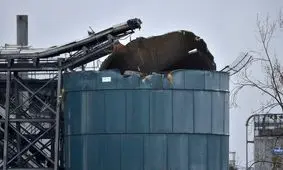 انفجار مهیب در انگلیس ۴ کشته برجای گذاشت